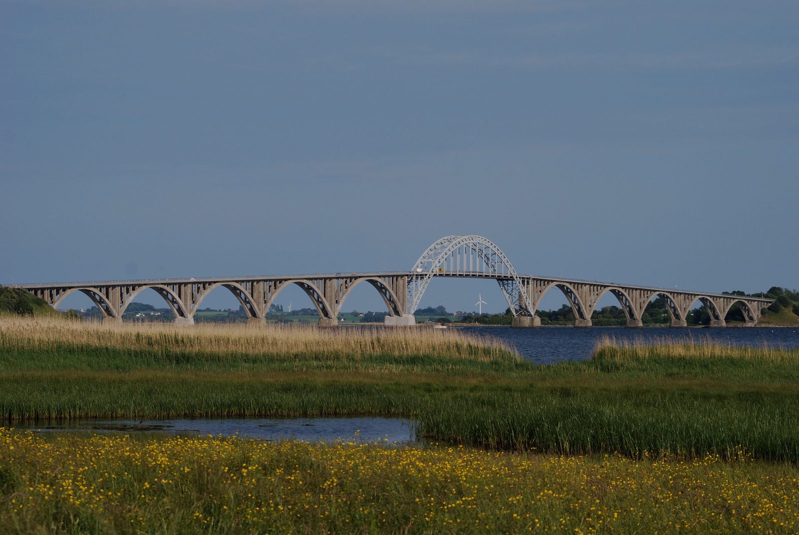 Queen Alexandrine Bridge across Ulvsund between Zealand and Møn, reeds and meadow in front