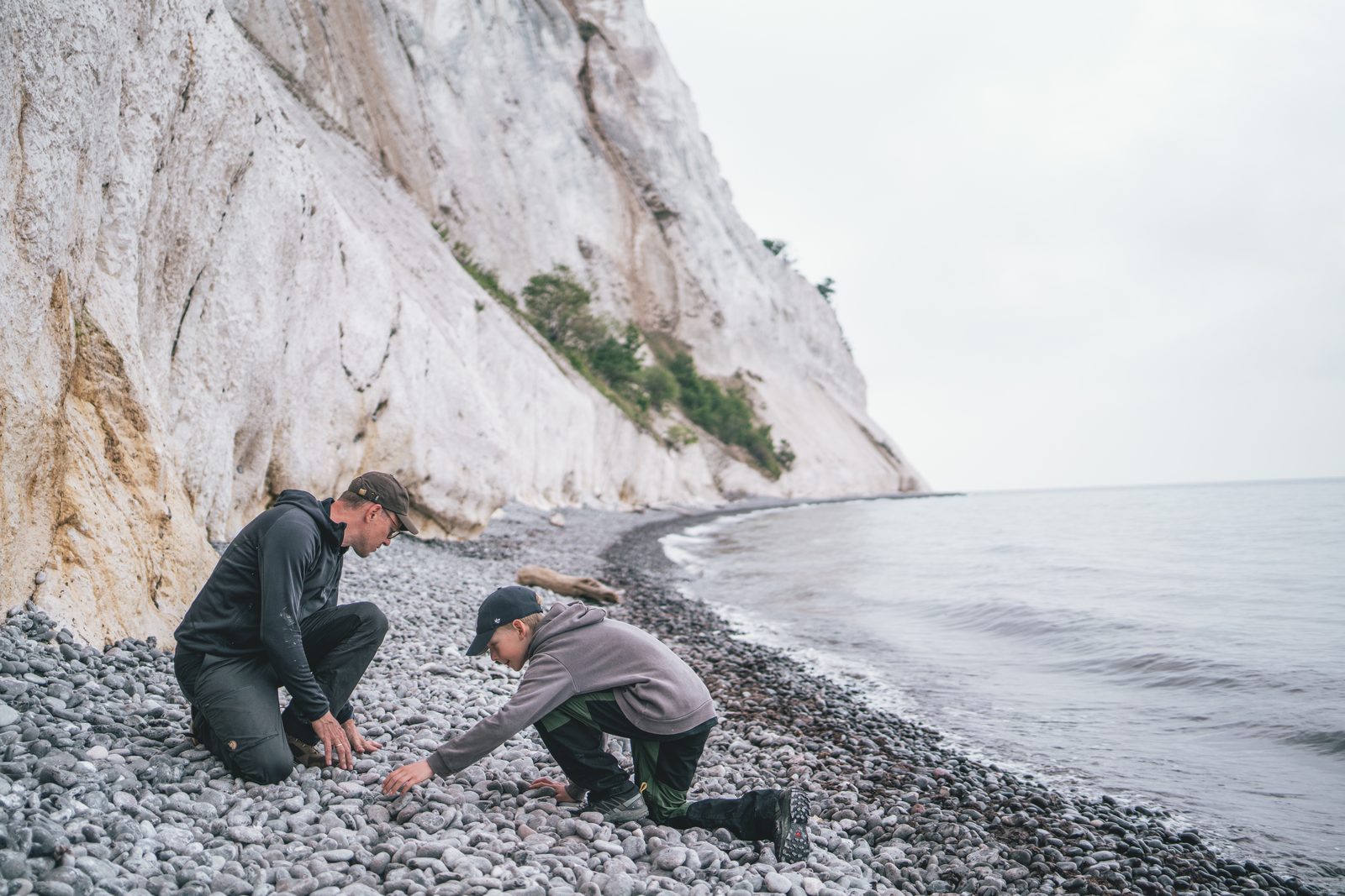 Father and son searching for fossils on the pebble beach below the chalk cliffs of Møns Klint