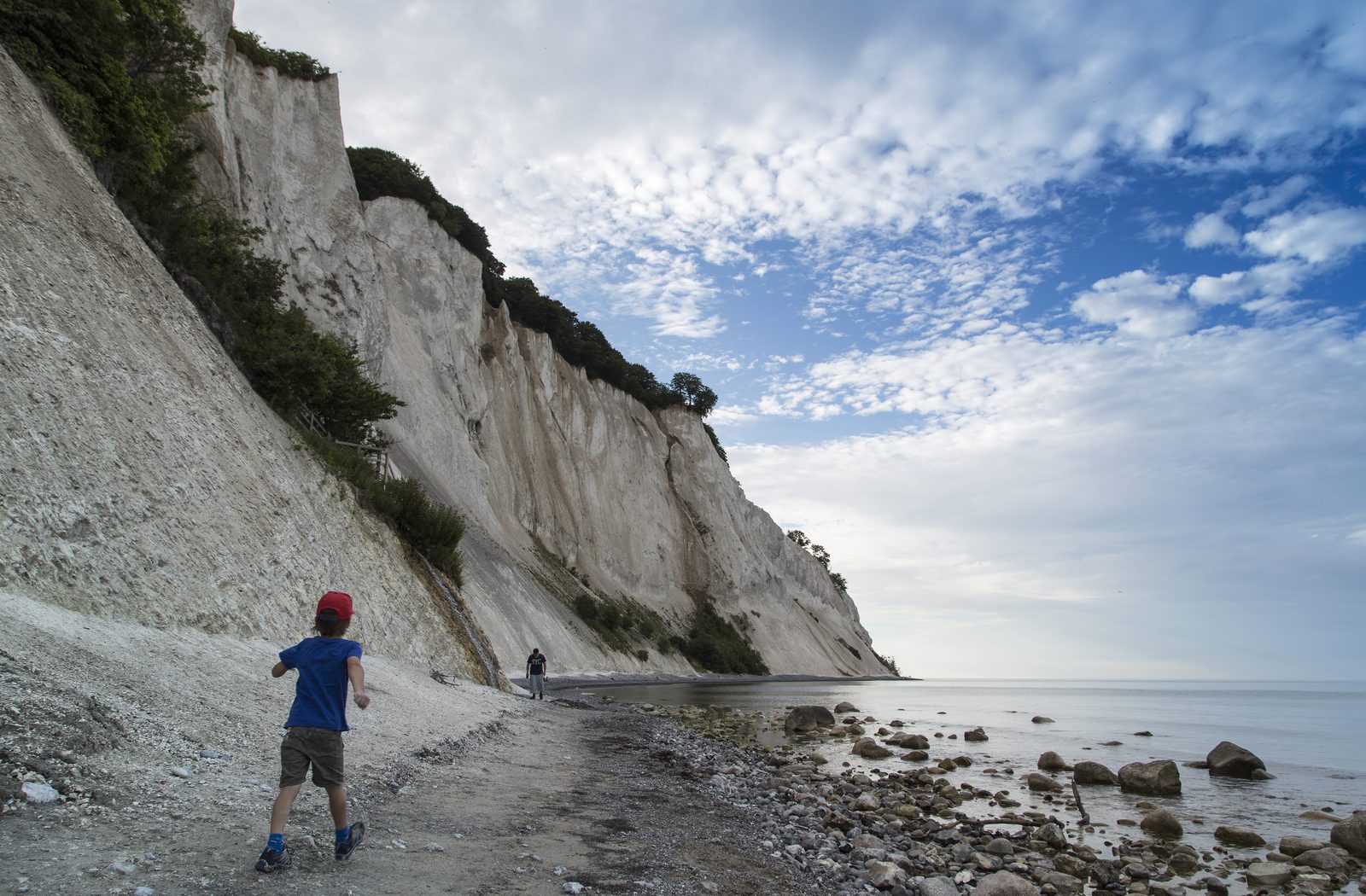 Child running along the pebble beach below the white chalk cliffs of Møns Klint