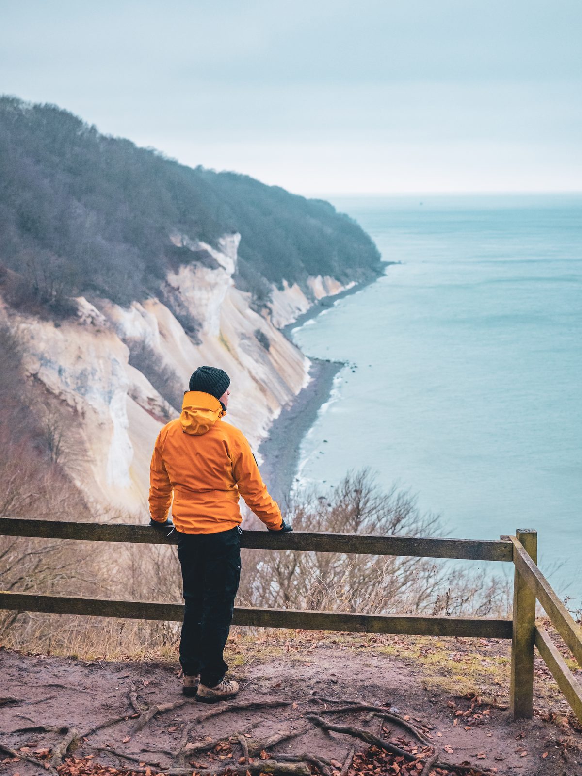 Person in an orange jacket leaning on a wooden fence above the chalk coast of Møns Klint