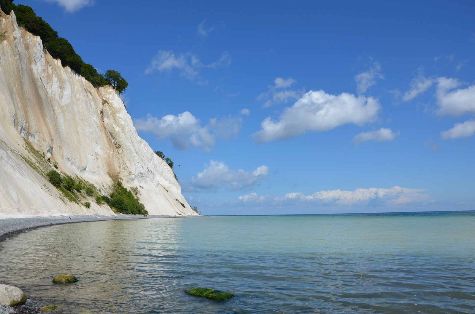 White chalk cliffs of Møns Klint dropping steeply to the beach, calm turquoise Baltic Sea under a blue sky
