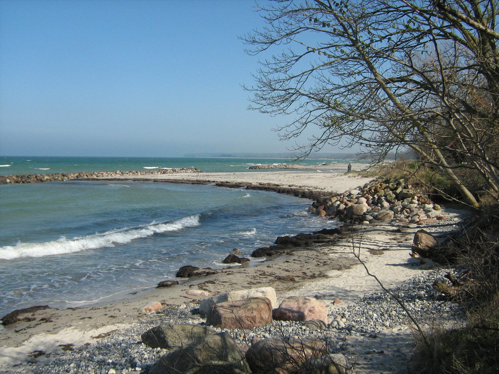 Ulvshale beach on Møn: sand, flint pebbles and groynes on the Baltic