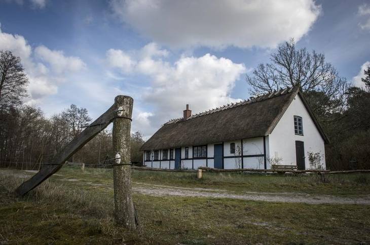 Günter Grass om Mön House