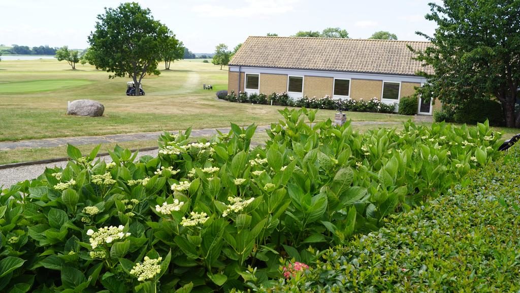 Ausblick auf das Præstekilde Hotel, gelegen an einem weitläufigen Golfplatz. Im Vordergrund sind blühende Hortensien und gepflegte Hecken, dahinter das eingeschossige Hotelgebäude mit gelben Wänden und einem Ziegeldach. Die friedliche Landschaft und die grüne Umgebung laden zur Erholung ein.