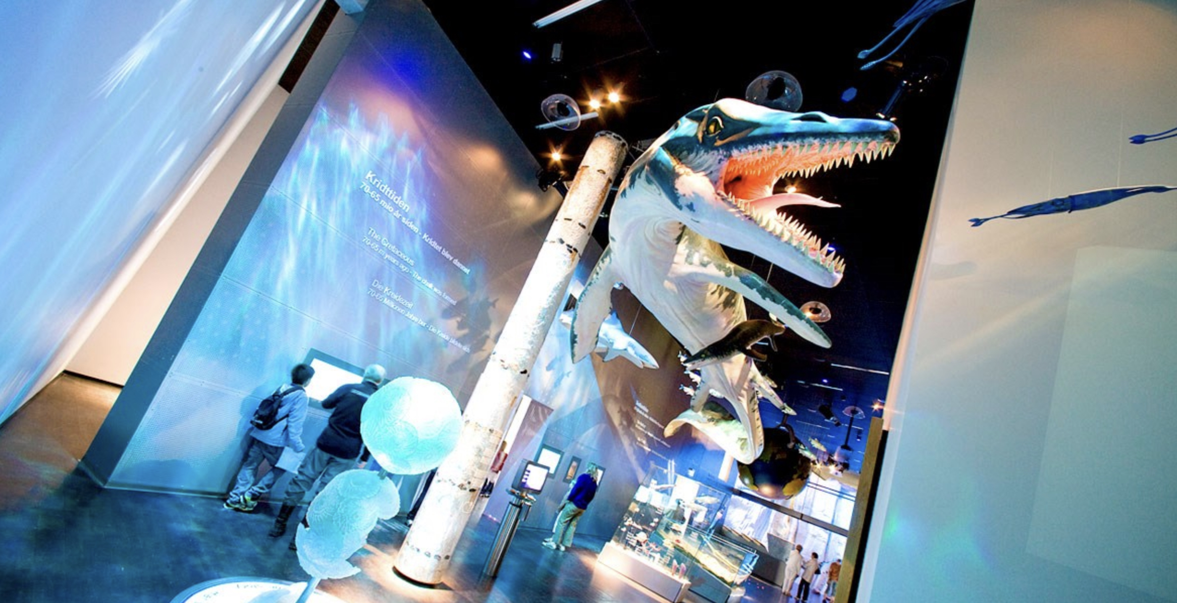 Model of a marine reptile in the exhibition at GeoCenter Møns Klint