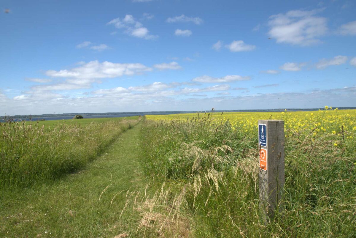 Nyord, flaches Land, vom Wind gepeitscht.