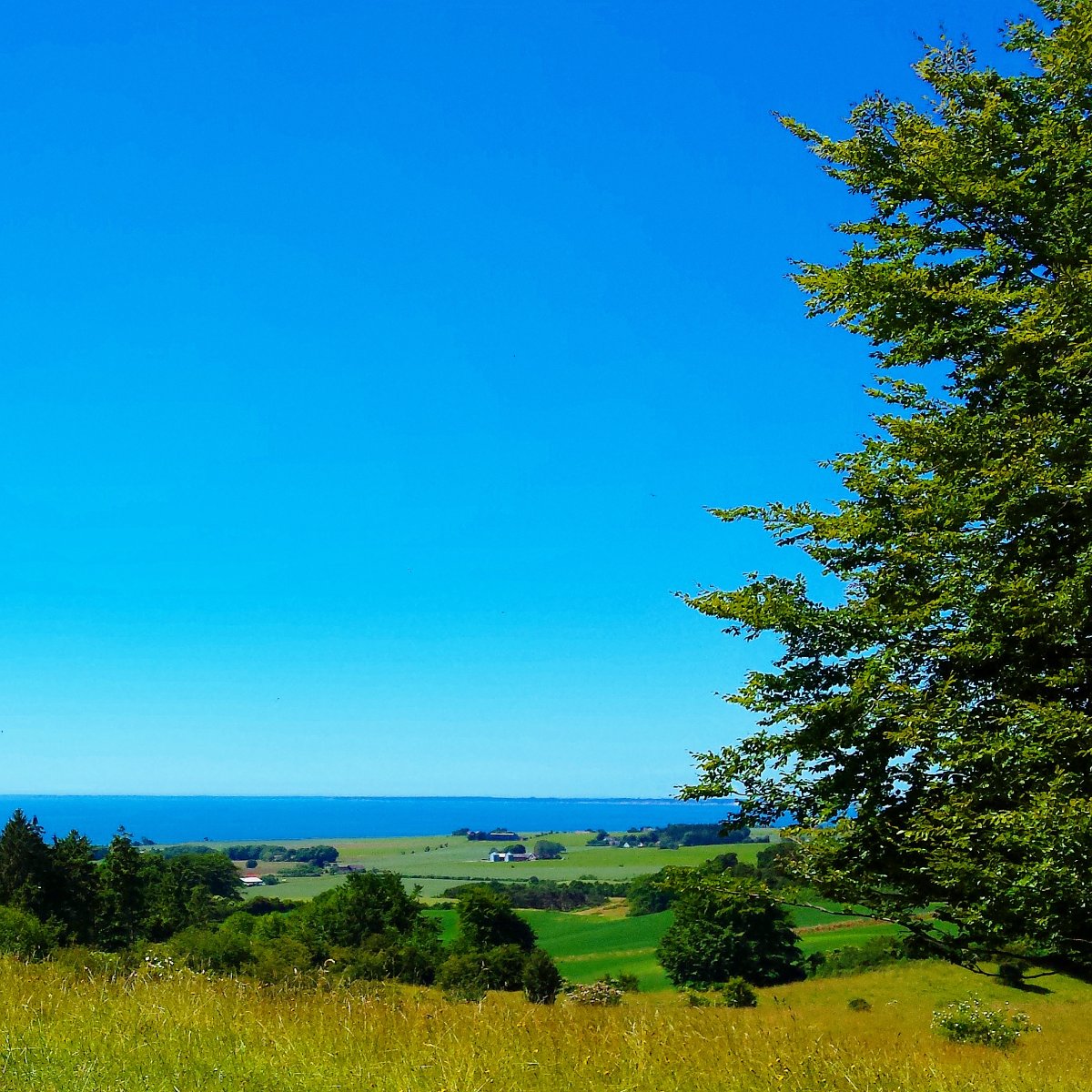 Landschaft auf der Insel Mön